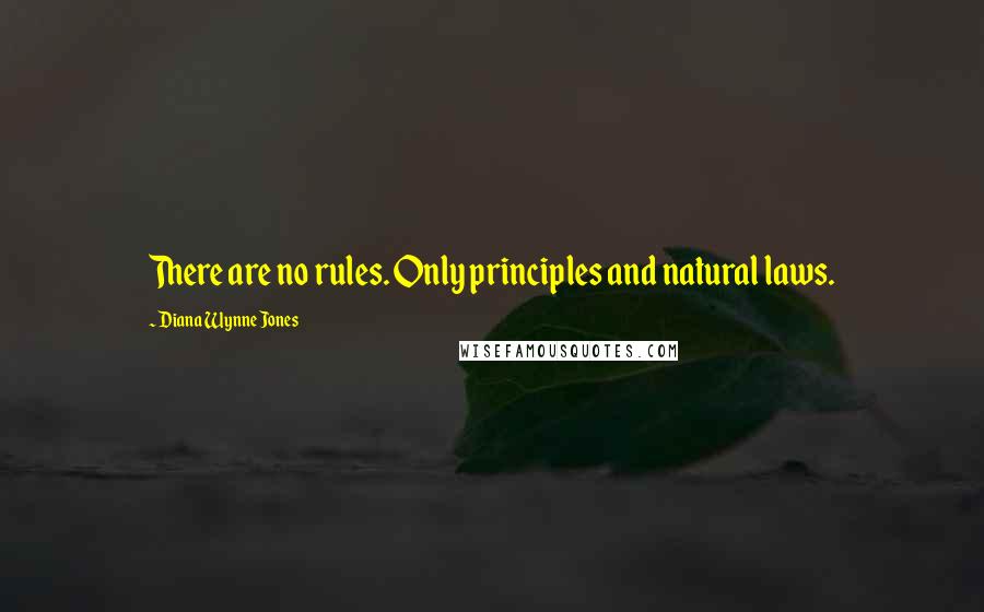 Diana Wynne Jones Quotes: There are no rules. Only principles and natural laws.