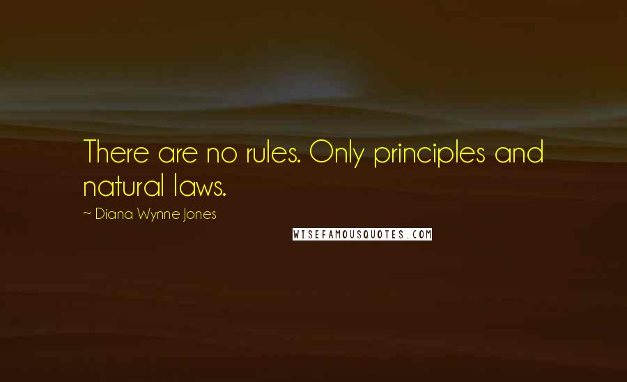 Diana Wynne Jones Quotes: There are no rules. Only principles and natural laws.