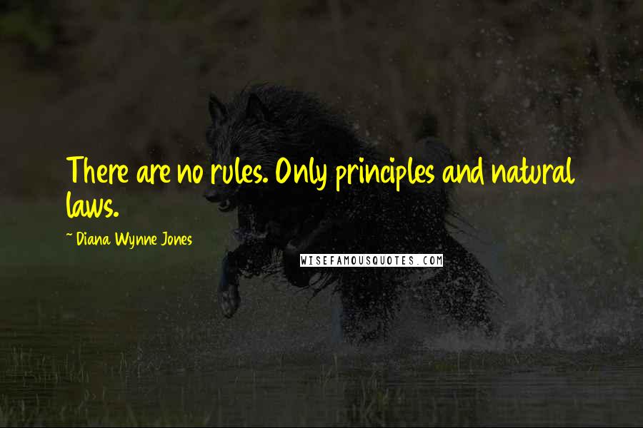 Diana Wynne Jones Quotes: There are no rules. Only principles and natural laws.