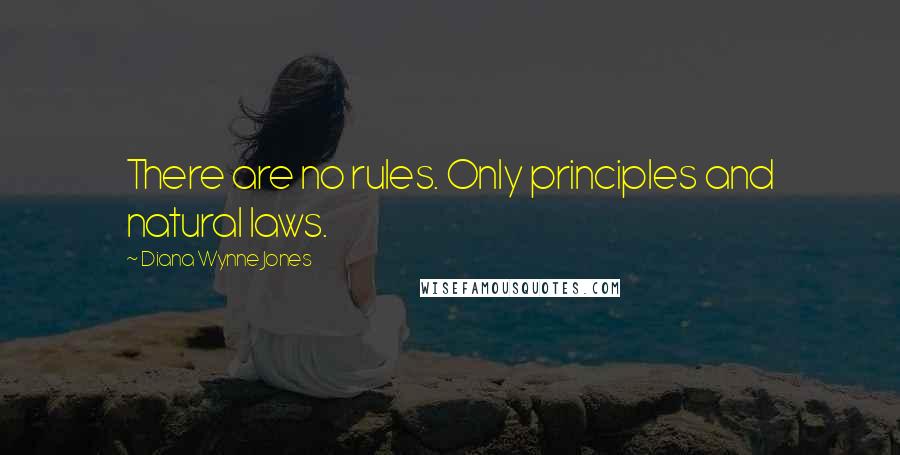 Diana Wynne Jones Quotes: There are no rules. Only principles and natural laws.