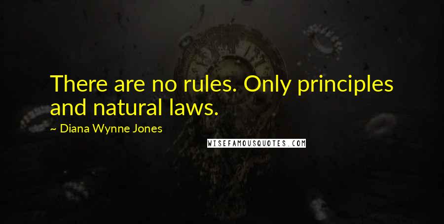 Diana Wynne Jones Quotes: There are no rules. Only principles and natural laws.