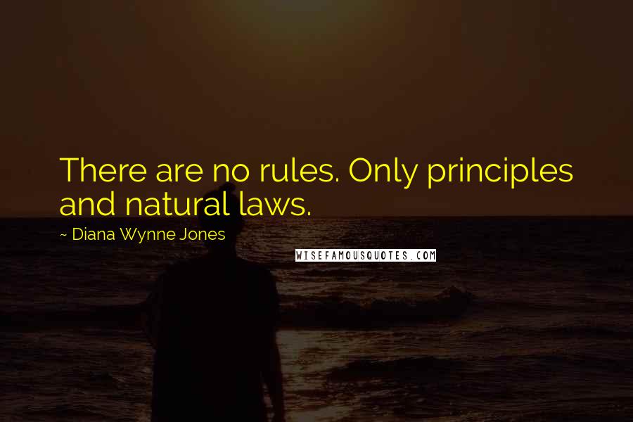 Diana Wynne Jones Quotes: There are no rules. Only principles and natural laws.