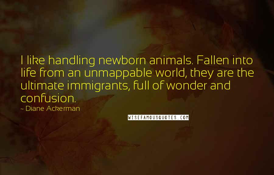 Diane Ackerman Quotes: I like handling newborn animals. Fallen into life from an unmappable world, they are the ultimate immigrants, full of wonder and confusion.