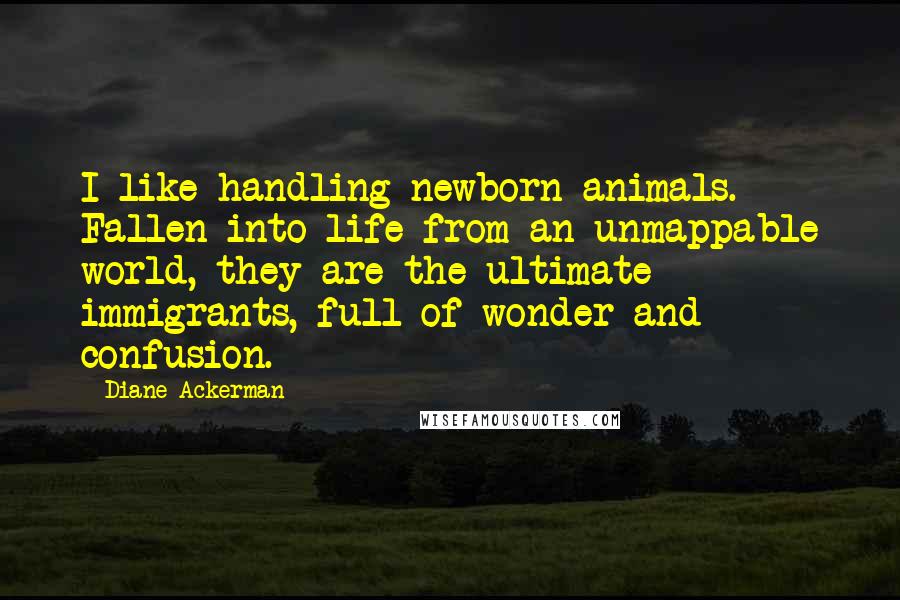 Diane Ackerman Quotes: I like handling newborn animals. Fallen into life from an unmappable world, they are the ultimate immigrants, full of wonder and confusion.