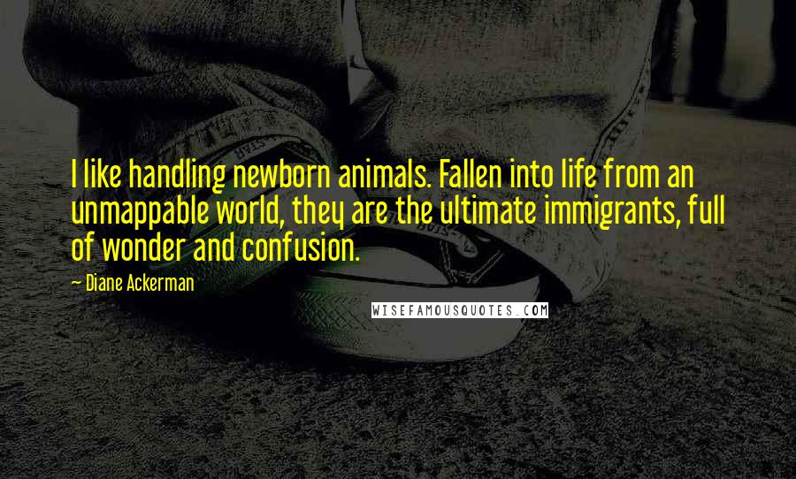 Diane Ackerman Quotes: I like handling newborn animals. Fallen into life from an unmappable world, they are the ultimate immigrants, full of wonder and confusion.