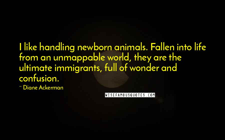 Diane Ackerman Quotes: I like handling newborn animals. Fallen into life from an unmappable world, they are the ultimate immigrants, full of wonder and confusion.