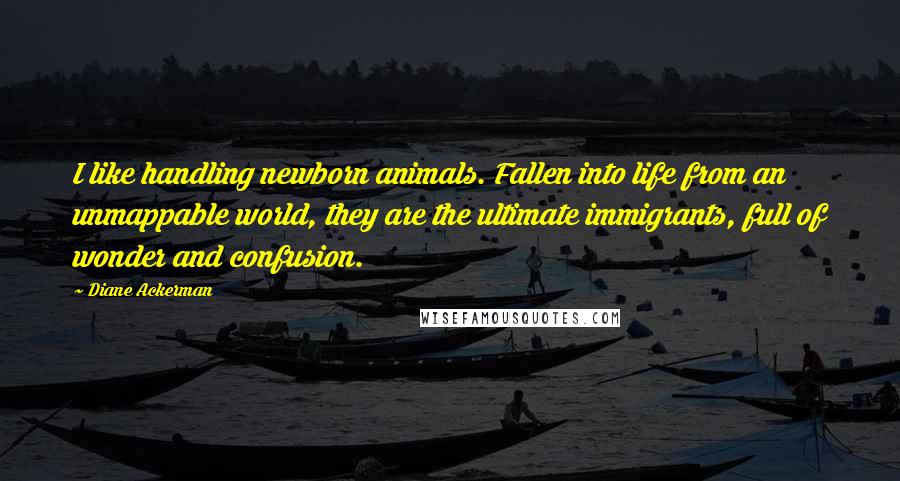 Diane Ackerman Quotes: I like handling newborn animals. Fallen into life from an unmappable world, they are the ultimate immigrants, full of wonder and confusion.