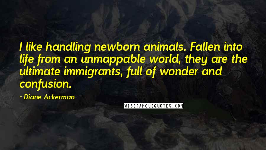 Diane Ackerman Quotes: I like handling newborn animals. Fallen into life from an unmappable world, they are the ultimate immigrants, full of wonder and confusion.