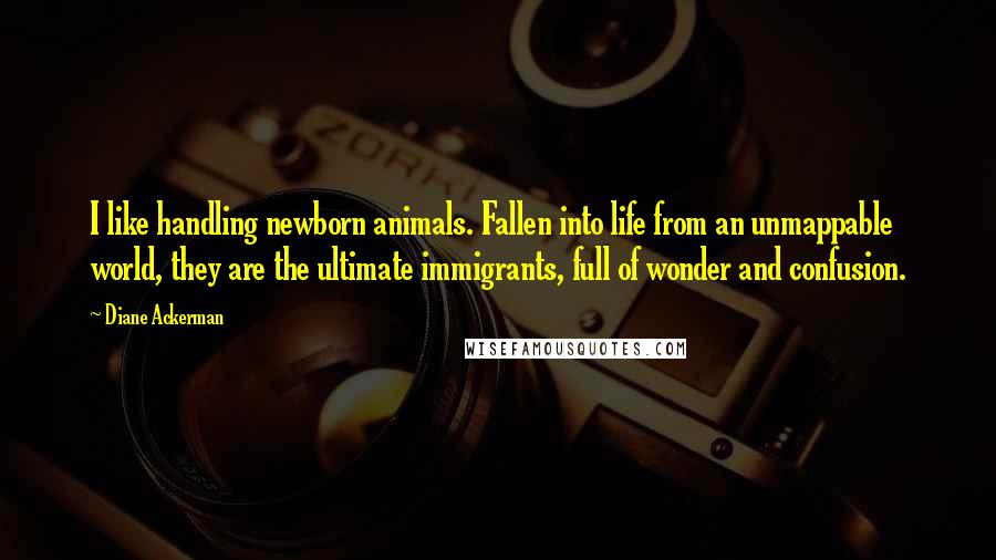 Diane Ackerman Quotes: I like handling newborn animals. Fallen into life from an unmappable world, they are the ultimate immigrants, full of wonder and confusion.