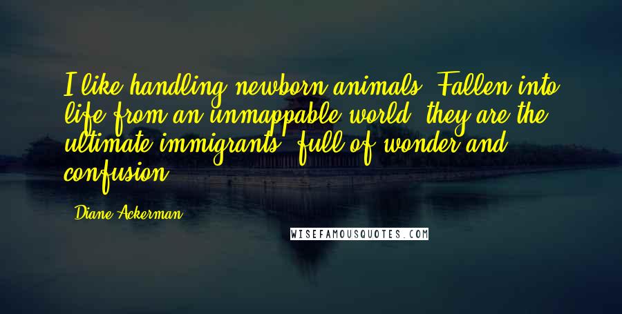 Diane Ackerman Quotes: I like handling newborn animals. Fallen into life from an unmappable world, they are the ultimate immigrants, full of wonder and confusion.
