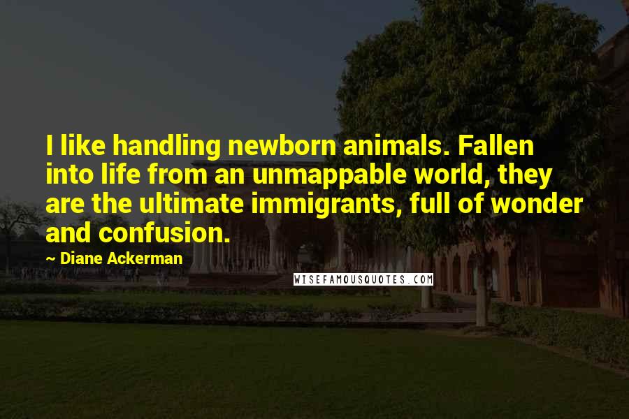 Diane Ackerman Quotes: I like handling newborn animals. Fallen into life from an unmappable world, they are the ultimate immigrants, full of wonder and confusion.