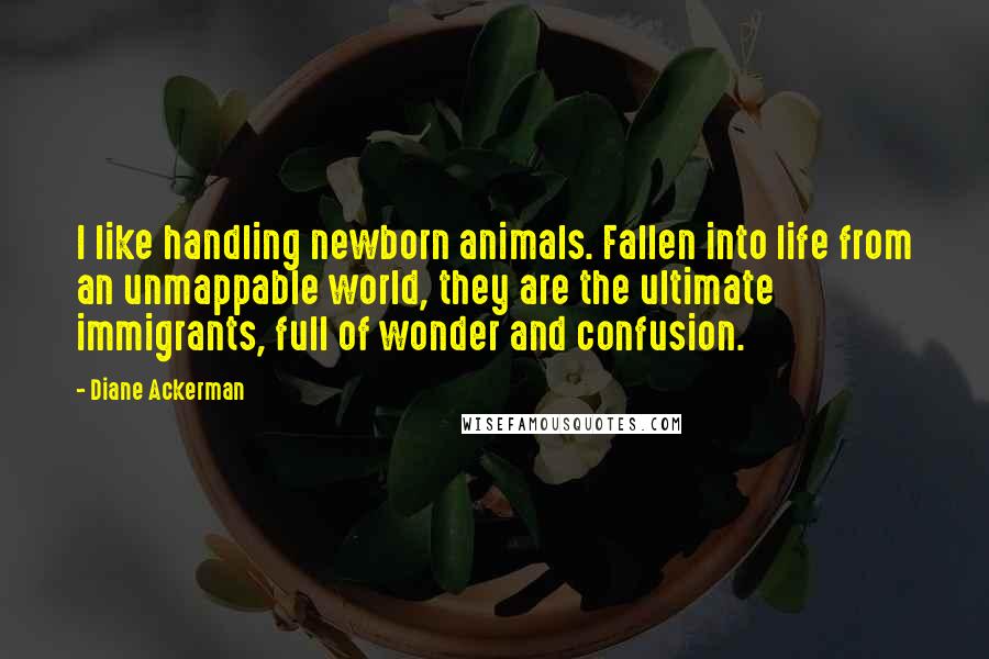 Diane Ackerman Quotes: I like handling newborn animals. Fallen into life from an unmappable world, they are the ultimate immigrants, full of wonder and confusion.