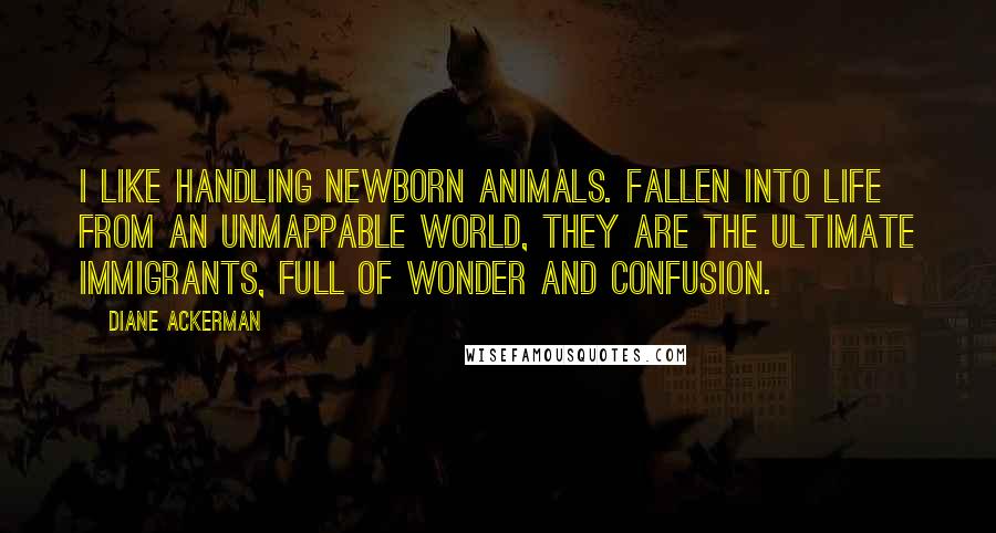 Diane Ackerman Quotes: I like handling newborn animals. Fallen into life from an unmappable world, they are the ultimate immigrants, full of wonder and confusion.