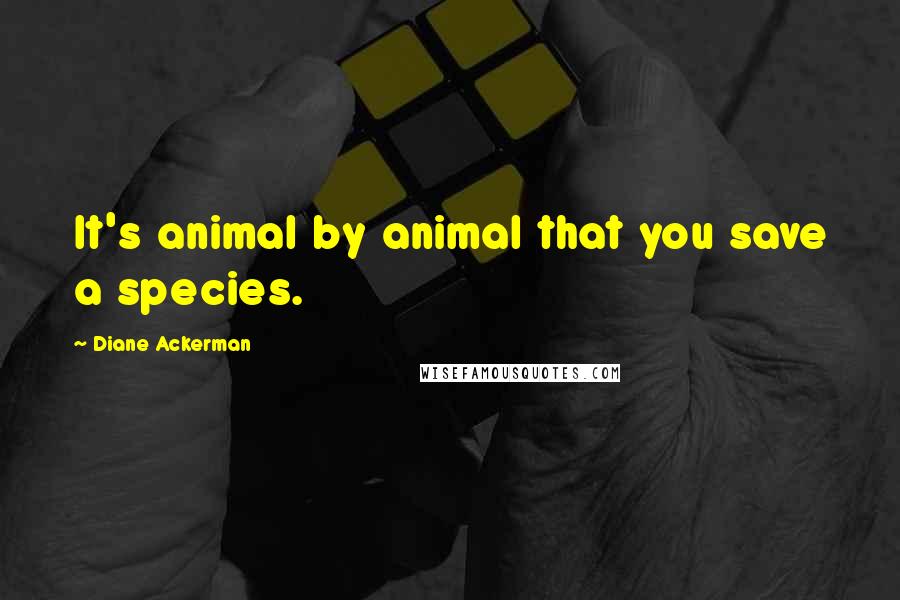 Diane Ackerman Quotes: It's animal by animal that you save a species.