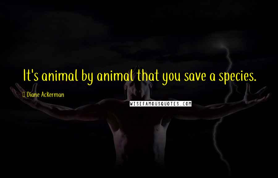 Diane Ackerman Quotes: It's animal by animal that you save a species.