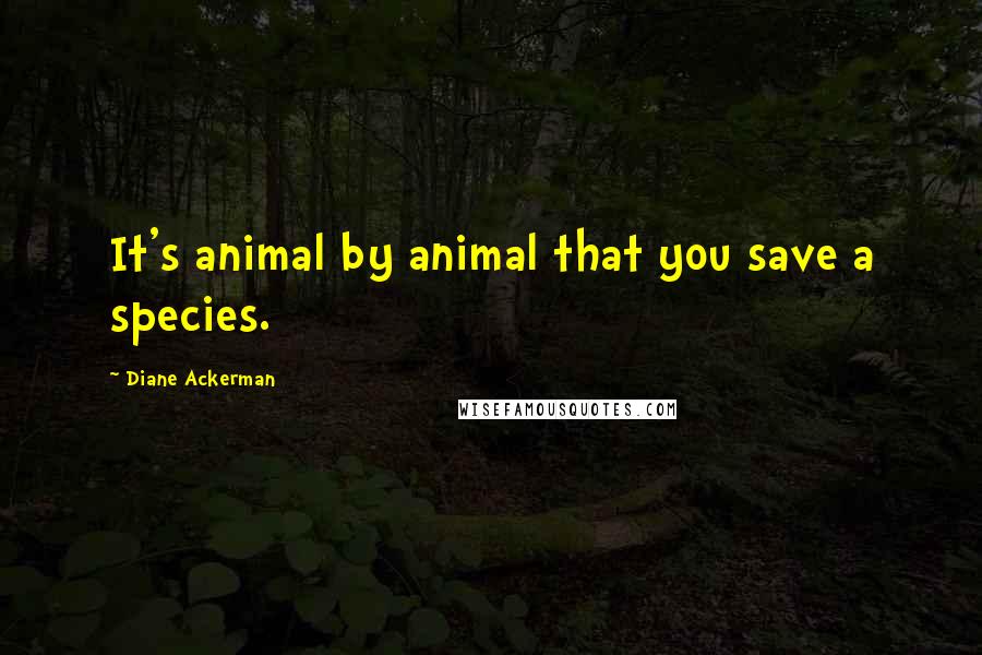Diane Ackerman Quotes: It's animal by animal that you save a species.