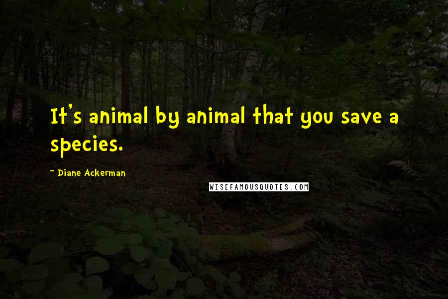 Diane Ackerman Quotes: It's animal by animal that you save a species.