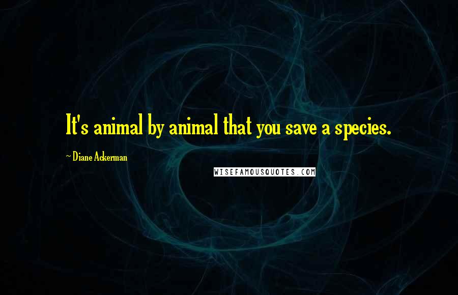 Diane Ackerman Quotes: It's animal by animal that you save a species.