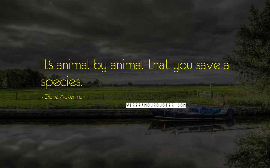 Diane Ackerman Quotes: It's animal by animal that you save a species.