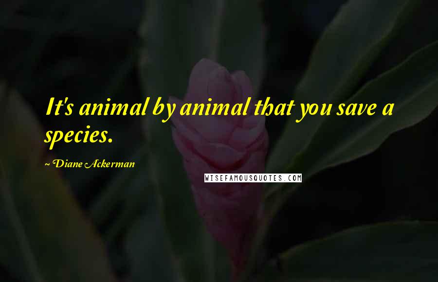 Diane Ackerman Quotes: It's animal by animal that you save a species.