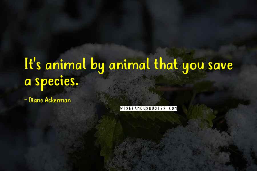 Diane Ackerman Quotes: It's animal by animal that you save a species.