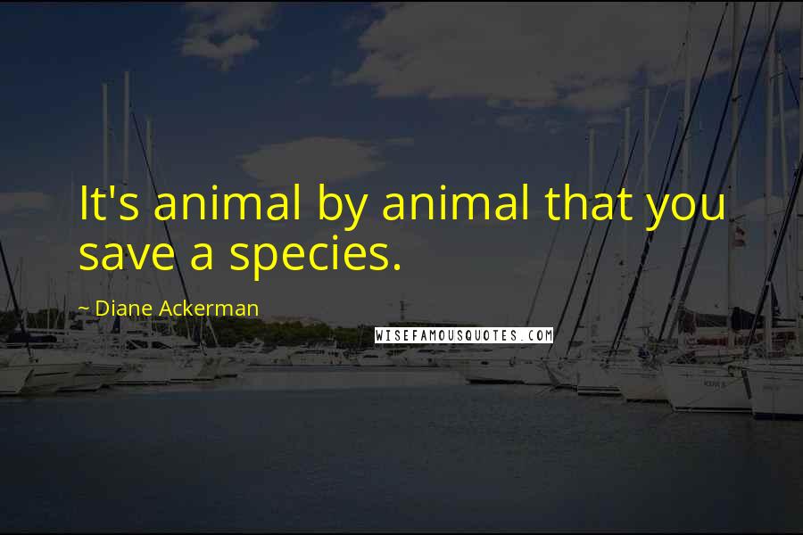 Diane Ackerman Quotes: It's animal by animal that you save a species.