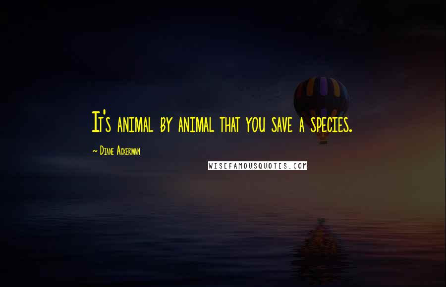 Diane Ackerman Quotes: It's animal by animal that you save a species.