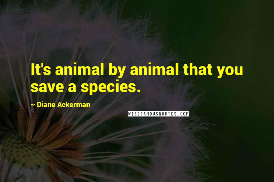 Diane Ackerman Quotes: It's animal by animal that you save a species.