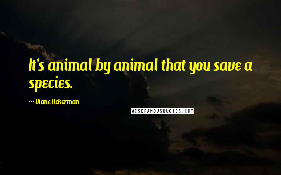 Diane Ackerman Quotes: It's animal by animal that you save a species.