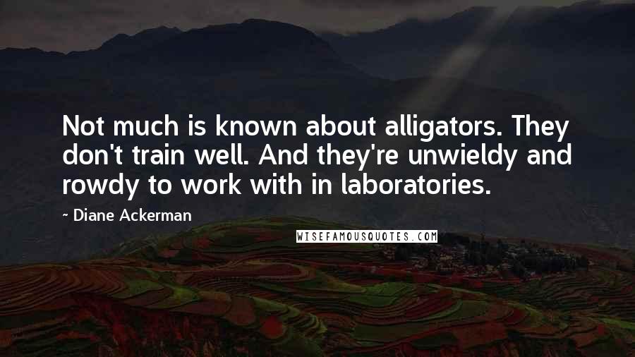 Diane Ackerman Quotes: Not much is known about alligators. They don't train well. And they're unwieldy and rowdy to work with in laboratories.