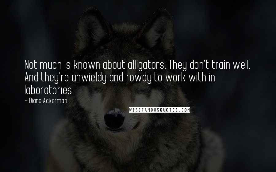 Diane Ackerman Quotes: Not much is known about alligators. They don't train well. And they're unwieldy and rowdy to work with in laboratories.