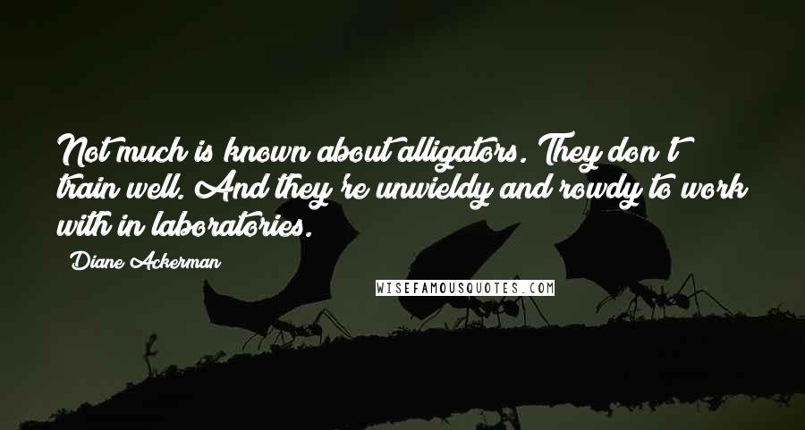 Diane Ackerman Quotes: Not much is known about alligators. They don't train well. And they're unwieldy and rowdy to work with in laboratories.