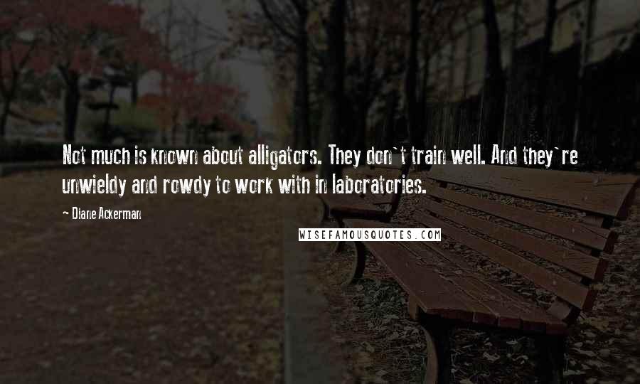 Diane Ackerman Quotes: Not much is known about alligators. They don't train well. And they're unwieldy and rowdy to work with in laboratories.