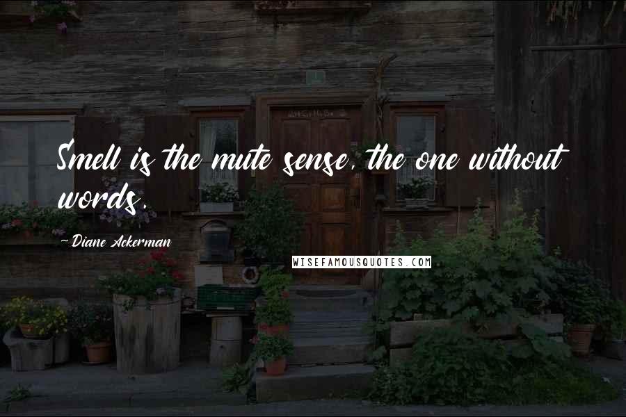 Diane Ackerman Quotes: Smell is the mute sense, the one without words.