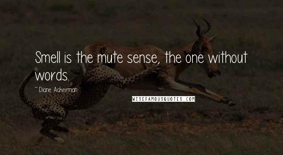 Diane Ackerman Quotes: Smell is the mute sense, the one without words.