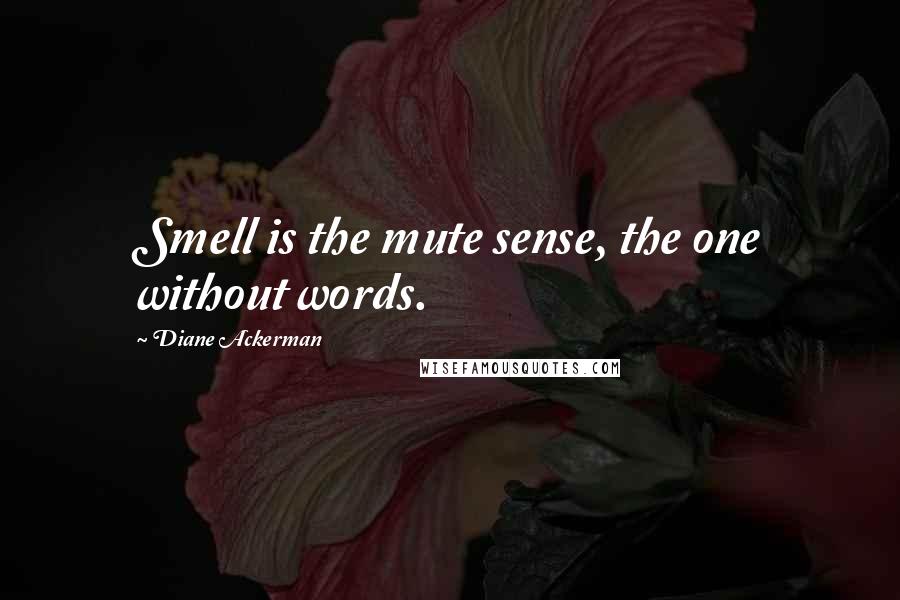 Diane Ackerman Quotes: Smell is the mute sense, the one without words.