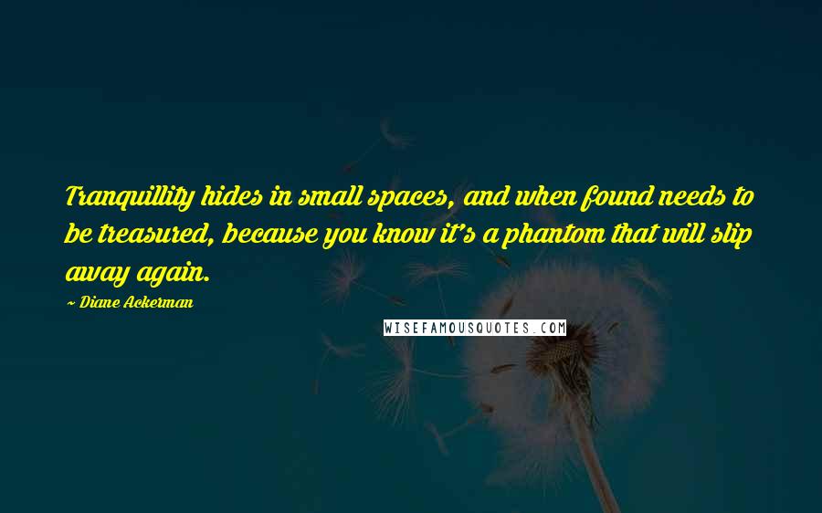 Diane Ackerman Quotes: Tranquillity hides in small spaces, and when found needs to be treasured, because you know it's a phantom that will slip away again.