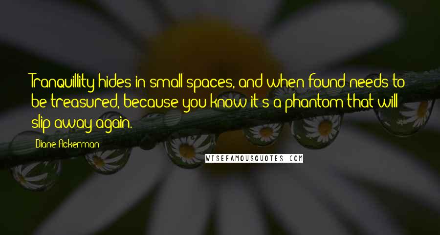 Diane Ackerman Quotes: Tranquillity hides in small spaces, and when found needs to be treasured, because you know it's a phantom that will slip away again.