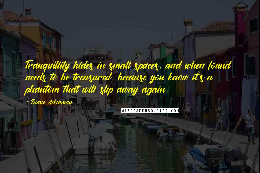 Diane Ackerman Quotes: Tranquillity hides in small spaces, and when found needs to be treasured, because you know it's a phantom that will slip away again.