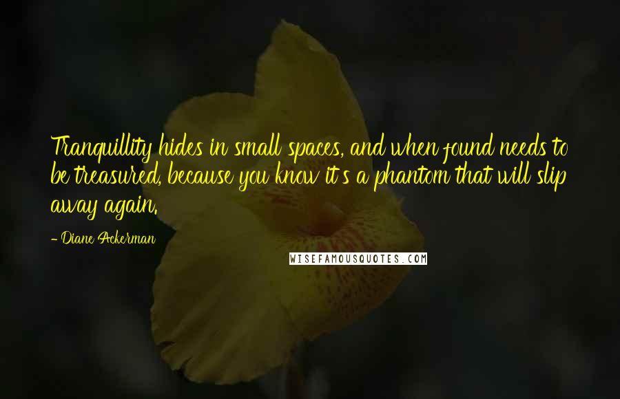 Diane Ackerman Quotes: Tranquillity hides in small spaces, and when found needs to be treasured, because you know it's a phantom that will slip away again.