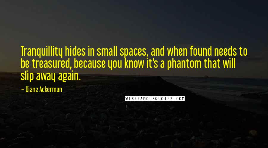 Diane Ackerman Quotes: Tranquillity hides in small spaces, and when found needs to be treasured, because you know it's a phantom that will slip away again.