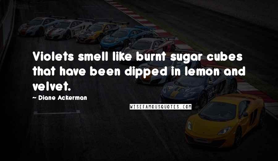 Diane Ackerman Quotes: Violets smell like burnt sugar cubes that have been dipped in lemon and velvet.