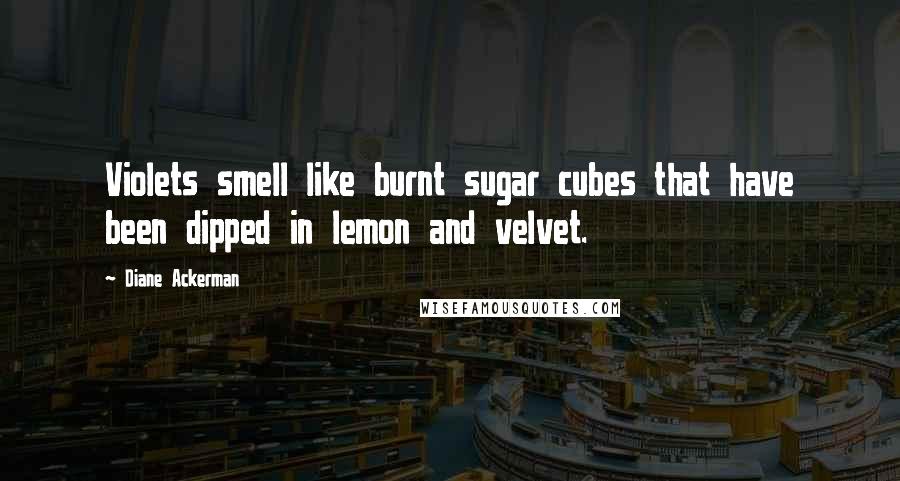 Diane Ackerman Quotes: Violets smell like burnt sugar cubes that have been dipped in lemon and velvet.