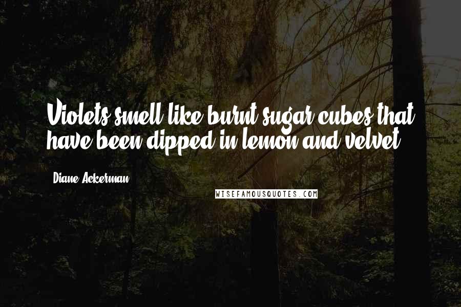 Diane Ackerman Quotes: Violets smell like burnt sugar cubes that have been dipped in lemon and velvet.