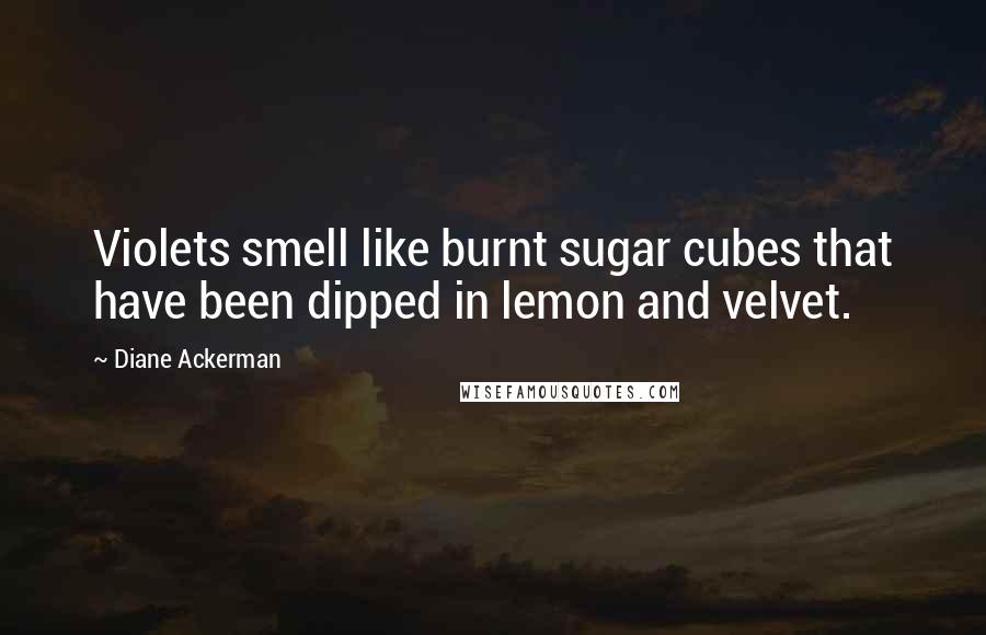Diane Ackerman Quotes: Violets smell like burnt sugar cubes that have been dipped in lemon and velvet.