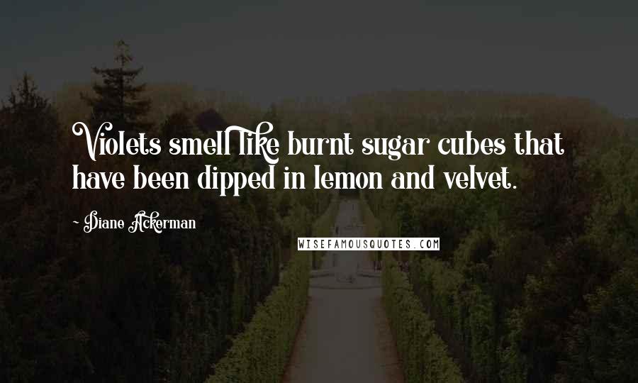Diane Ackerman Quotes: Violets smell like burnt sugar cubes that have been dipped in lemon and velvet.