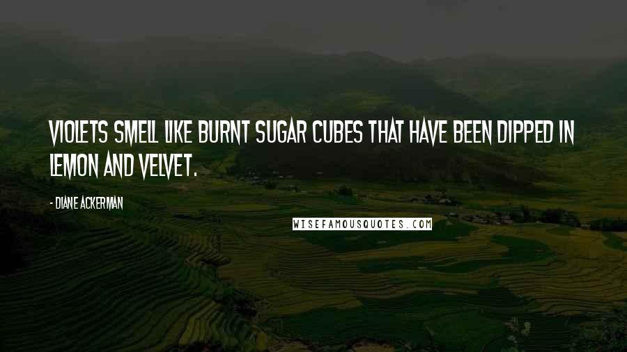 Diane Ackerman Quotes: Violets smell like burnt sugar cubes that have been dipped in lemon and velvet.