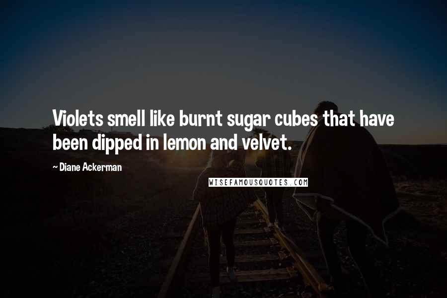 Diane Ackerman Quotes: Violets smell like burnt sugar cubes that have been dipped in lemon and velvet.