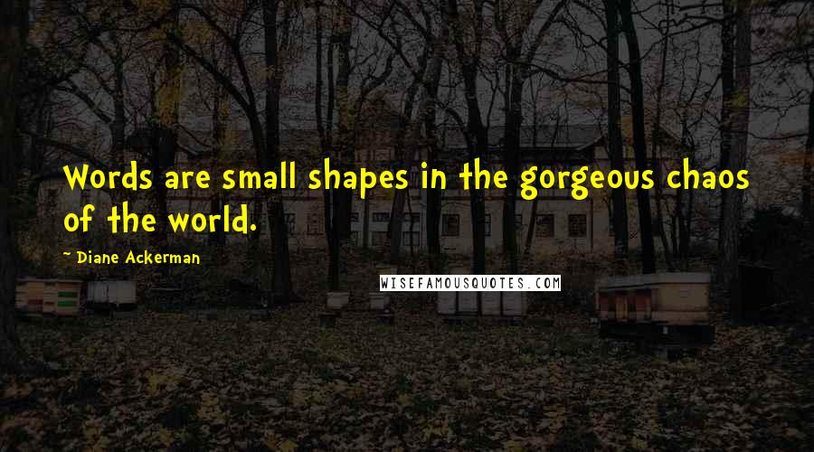 Diane Ackerman Quotes: Words are small shapes in the gorgeous chaos of the world.