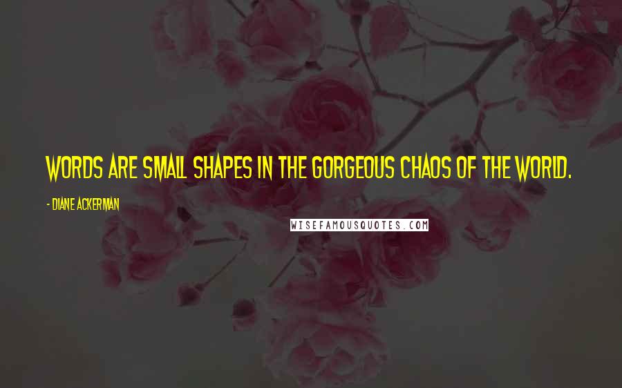 Diane Ackerman Quotes: Words are small shapes in the gorgeous chaos of the world.